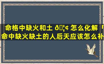 命格中缺火和土 🦢 怎么化解「命中缺火缺土的人后天应该怎么补」